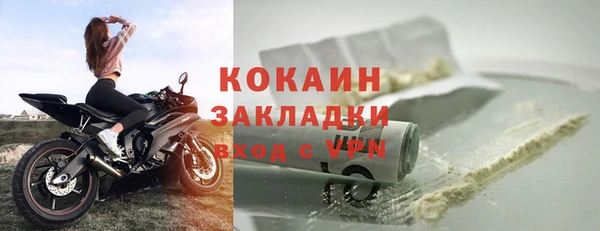 гашик Белокуриха