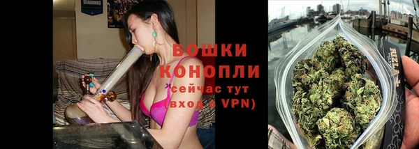 гашик Белокуриха
