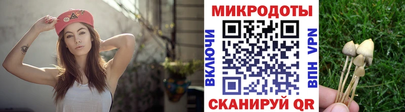 Псилоцибиновые грибы ЛСД  гидра ссылка  Волгоград 